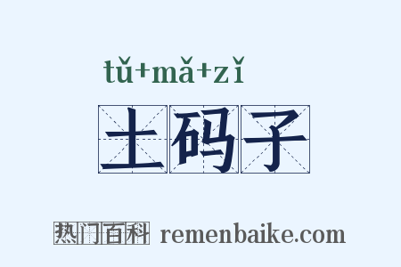 土码子是什么意思的图片